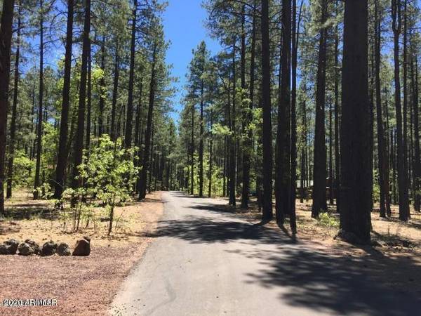 Pinetop, AZ 85935,2983 Cedar Lane #89