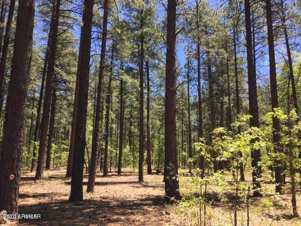 Pinetop, AZ 85935,2983 Cedar Lane #89