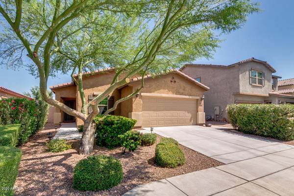 Peoria, AZ 85383,10826 W AVENIDA DEL REY --