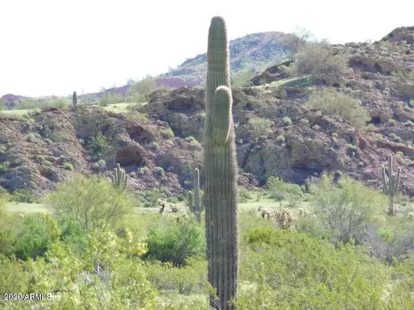Surprise, AZ 85387,14318 W Oberlin Way #-
