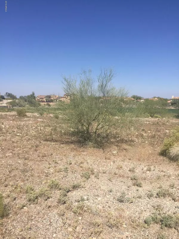 Buckeye, AZ 85396,21560 W BUCKHORN Bend #204