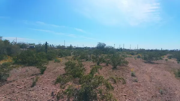 Apache Junction, AZ 85119,150 N Cactus Road #--