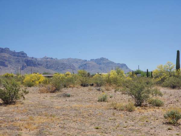 Apache Junction, AZ 85119,150 N Cactus Road #--