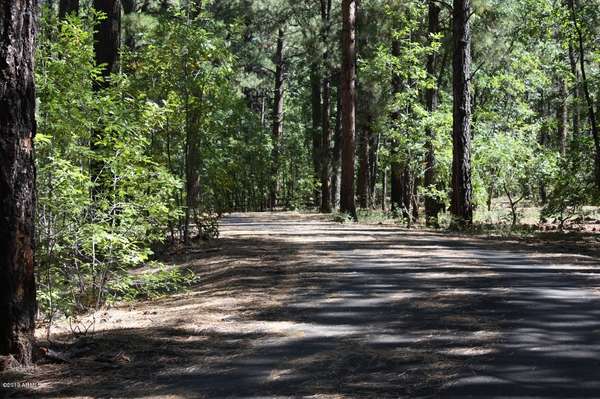 Pinetop, AZ 85935,2514 SUNFLOWER Drive #336