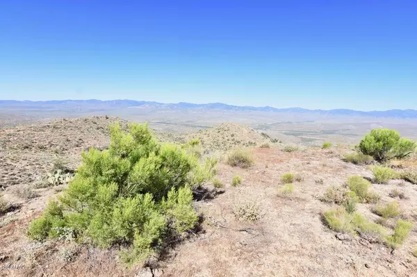 Wikieup, AZ 85360,80 Bogles Ranch Road #-