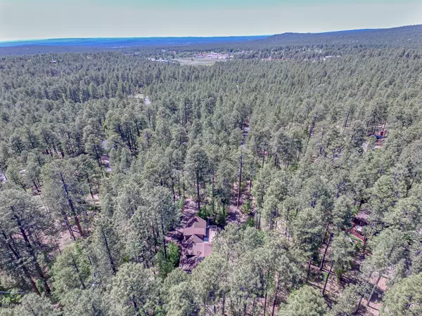 Pinetop, AZ 85935,2506 BUTTERFLY Lane