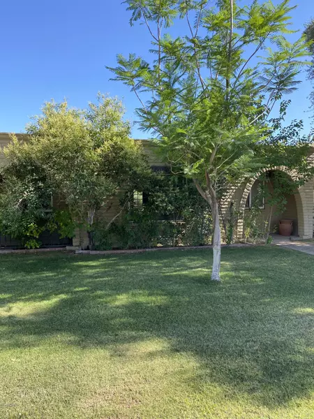 8315 E ROSE Lane, Scottsdale, AZ 85250