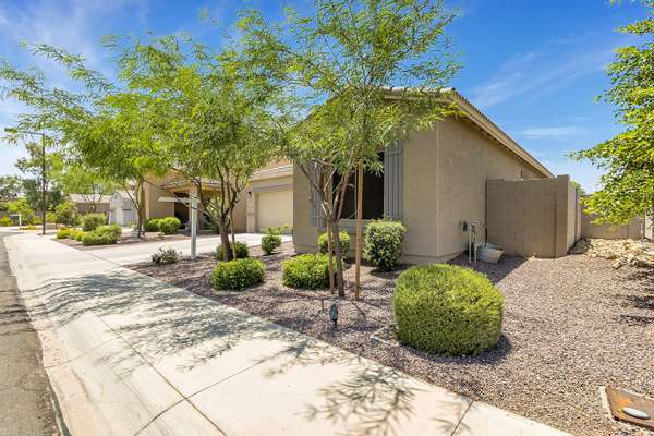 Surprise, AZ 85388,16500 N 181st Avenue