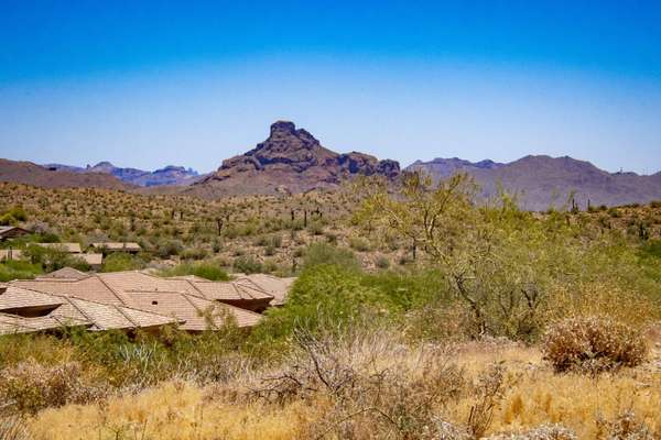 9246 N FLYING BUTTE -- #23, Fountain Hills, AZ 85268