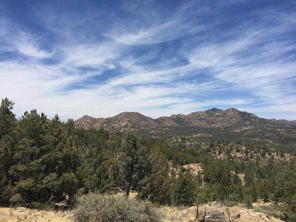 Peeples Valley, AZ 86332,0 Monica Mine Road #4B