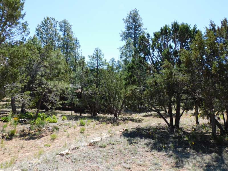 2959 VALLEY FRG --, Overgaard, AZ 85933