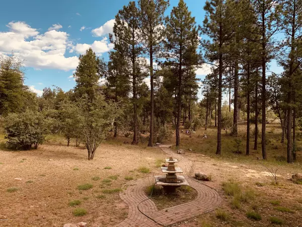 Pine, AZ 85544,3623 N BOBCAT Court