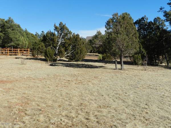 Overgaard, AZ 85933,2746 Airpark Drive #48