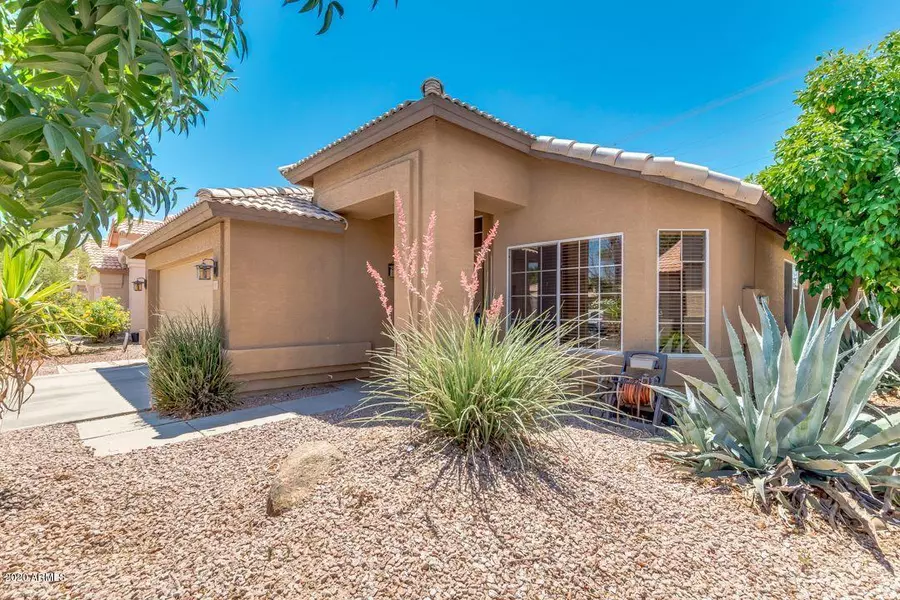 1053 W Heather Avenue, Gilbert, AZ 85233