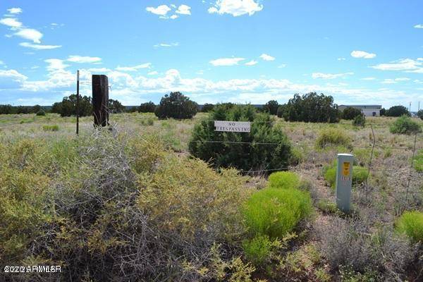 Snowflake, AZ 85937,4524 E PINTO Road #52