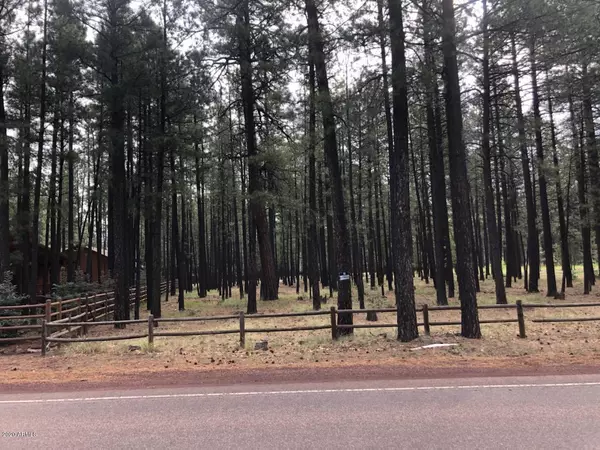 Pinetop, AZ 85935,4660 BUCK SPRINGS Road #-