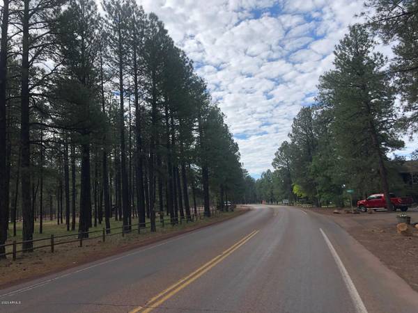 Pinetop, AZ 85935,4660 BUCK SPRINGS Road #-