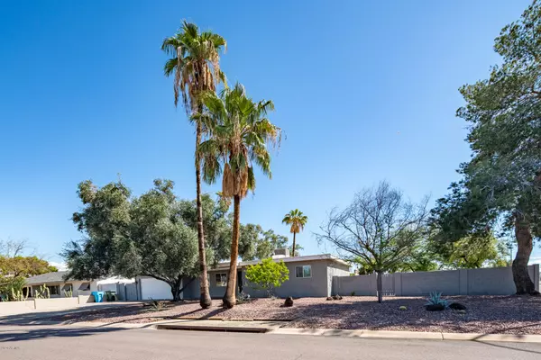 13801 N 56TH Place, Scottsdale, AZ 85254