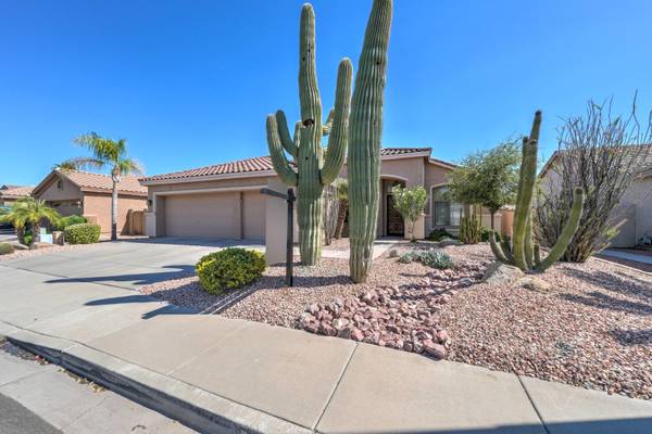 Chandler, AZ 85286,711 W ORIOLE Way