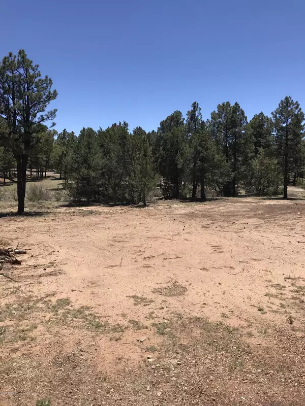 Overgaard, AZ 85933,2841 W LODGEPOLE Lane