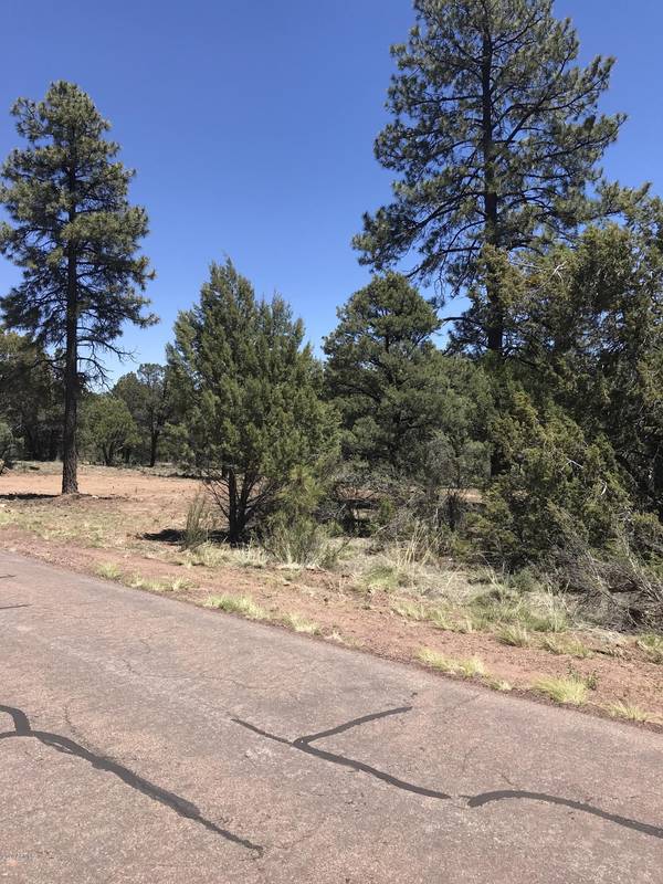 Overgaard, AZ 85933,2841 W LODGEPOLE Lane