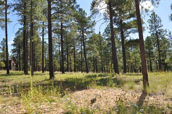 Flagstaff, AZ 86005,2612 S Pinyon Jay Drive