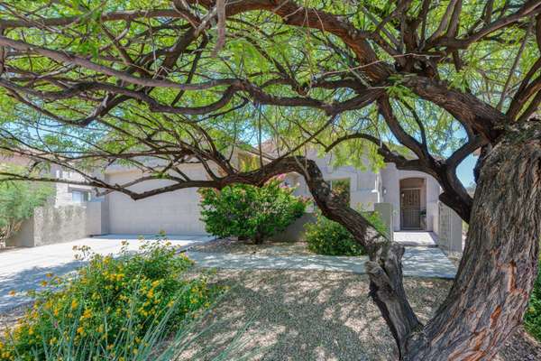 Fountain Hills, AZ 85268,13503 N VISTA DEL LAGO --