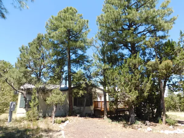 Overgaard, AZ 85933,2936 BREEZY PINE Drive