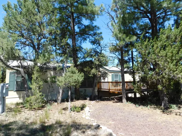 Overgaard, AZ 85933,2936 BREEZY PINE Drive