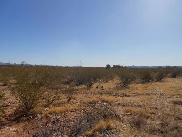 Wickenburg, AZ 85390,21025 W DATE CREEK Road #11A