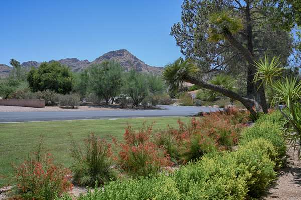 Paradise Valley, AZ 85253,6440 E IRONWOOD Drive