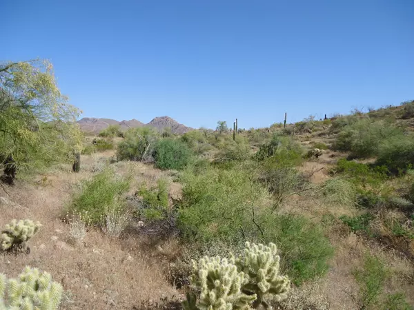 Fountain Hills, AZ 85268,14510 E DESERT TORTOISE Trail #27