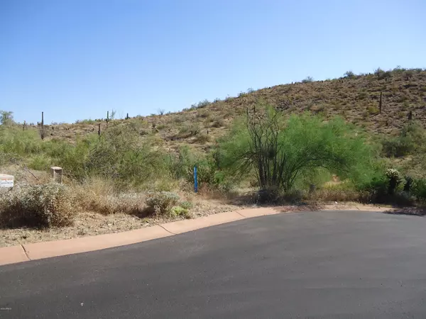 Fountain Hills, AZ 85268,14510 E DESERT TORTOISE Trail #27