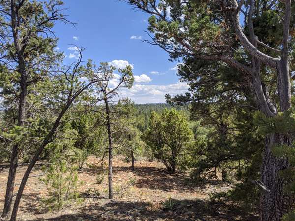 Heber, AZ 85928,1489 LOW MOUNTAIN Trail #156