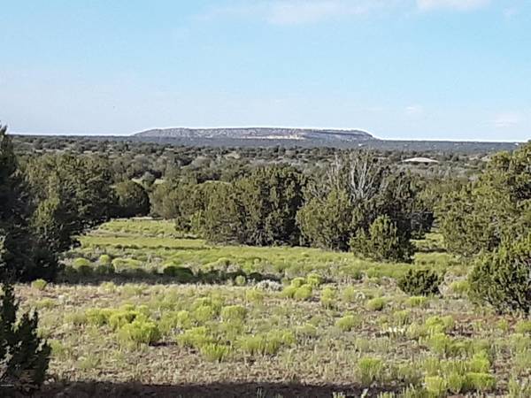 Show Low, AZ 85901,40 Acres Bradley Rd -- #-