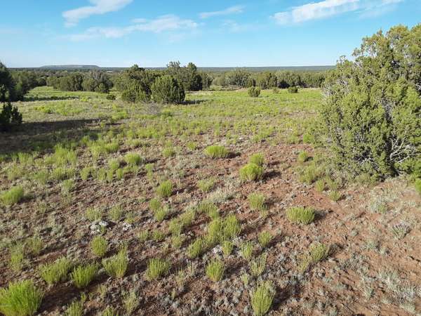 Show Low, AZ 85901,40 Acres Bradley Rd -- #-