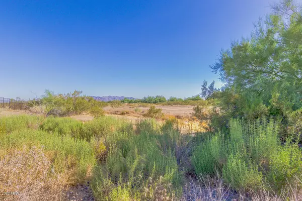 Wittmann, AZ 85361,30832 N CROZIER Road #-