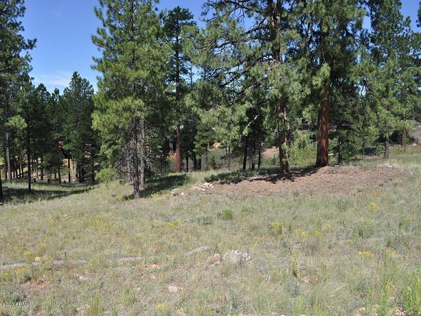 Flagstaff, AZ 86005,2605 S Pinyon Jay Drive