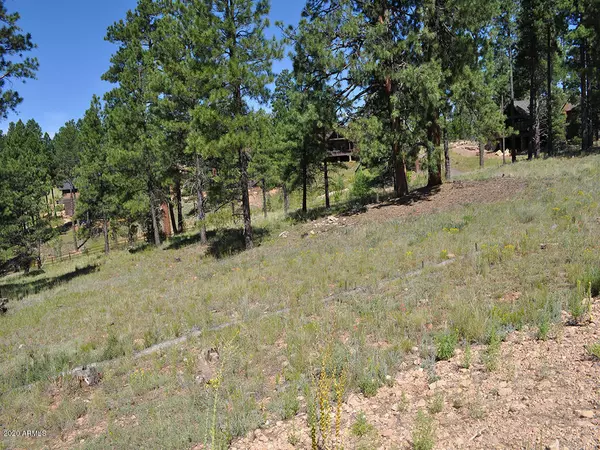 Flagstaff, AZ 86005,2605 S Pinyon Jay Drive