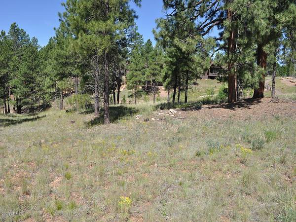 Flagstaff, AZ 86005,2605 S Pinyon Jay Drive