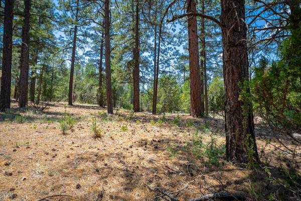 Overgaard, AZ 85933,3319 WHISPERING PINE Drive #122