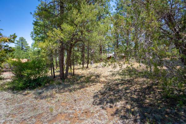 Overgaard, AZ 85933,3319 WHISPERING PINE Drive #122