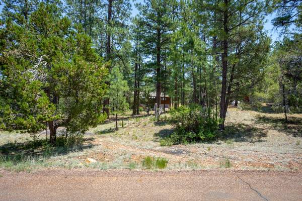 Overgaard, AZ 85933,3319 WHISPERING PINE Drive #122