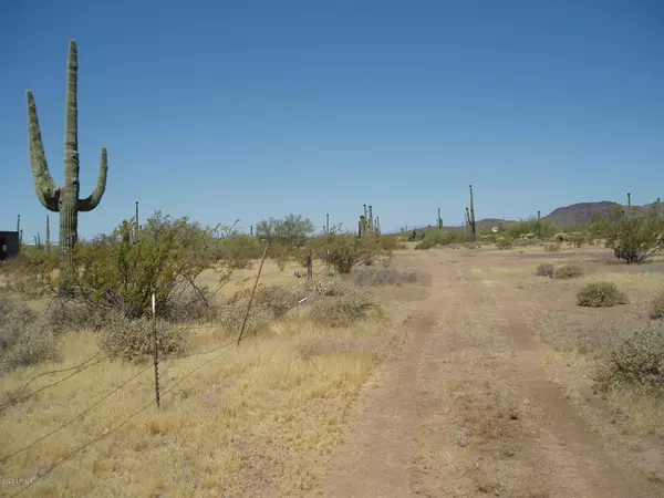 29913 W Olesen Road #47, Unincorporated County, AZ 85361
