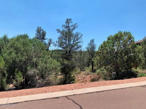 Payson, AZ 85541,802 N Thunder Ridge Circle #326