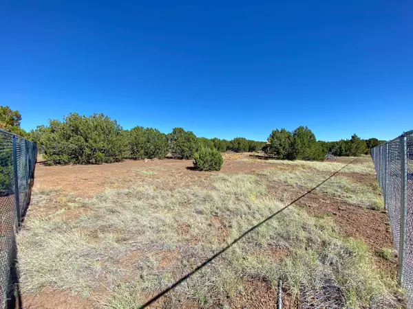 Vernon, AZ 85940,93 N COUNTY ROAD N8165 --