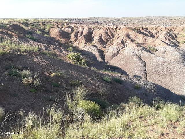 22 Acres Coyote Rd -- #-, Holbrook, AZ 86025