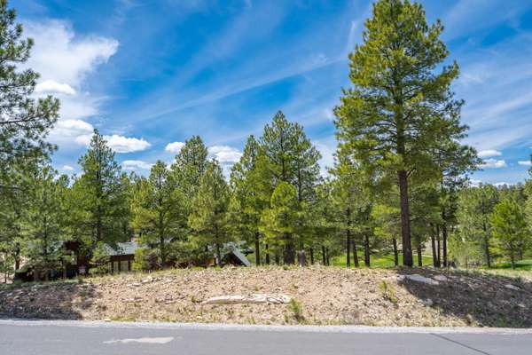 Flagstaff, AZ 86005,3453 S CLUBHOUSE Circle #153