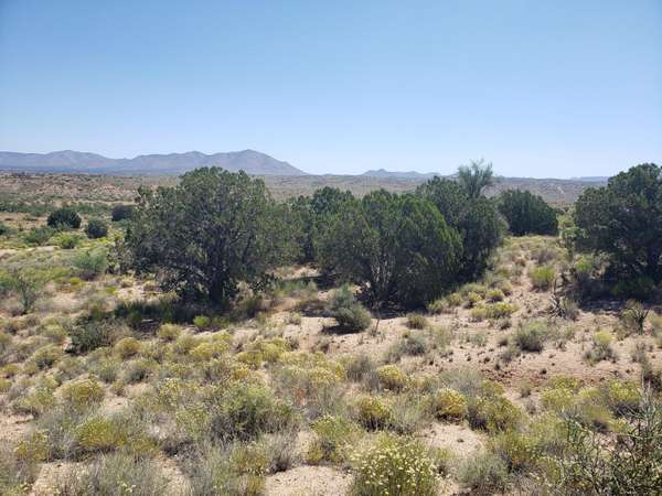 Kingman, AZ 86401,0 S Maverick Road S #001