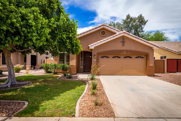 Chandler, AZ 85225,1642 E MEGAN Street